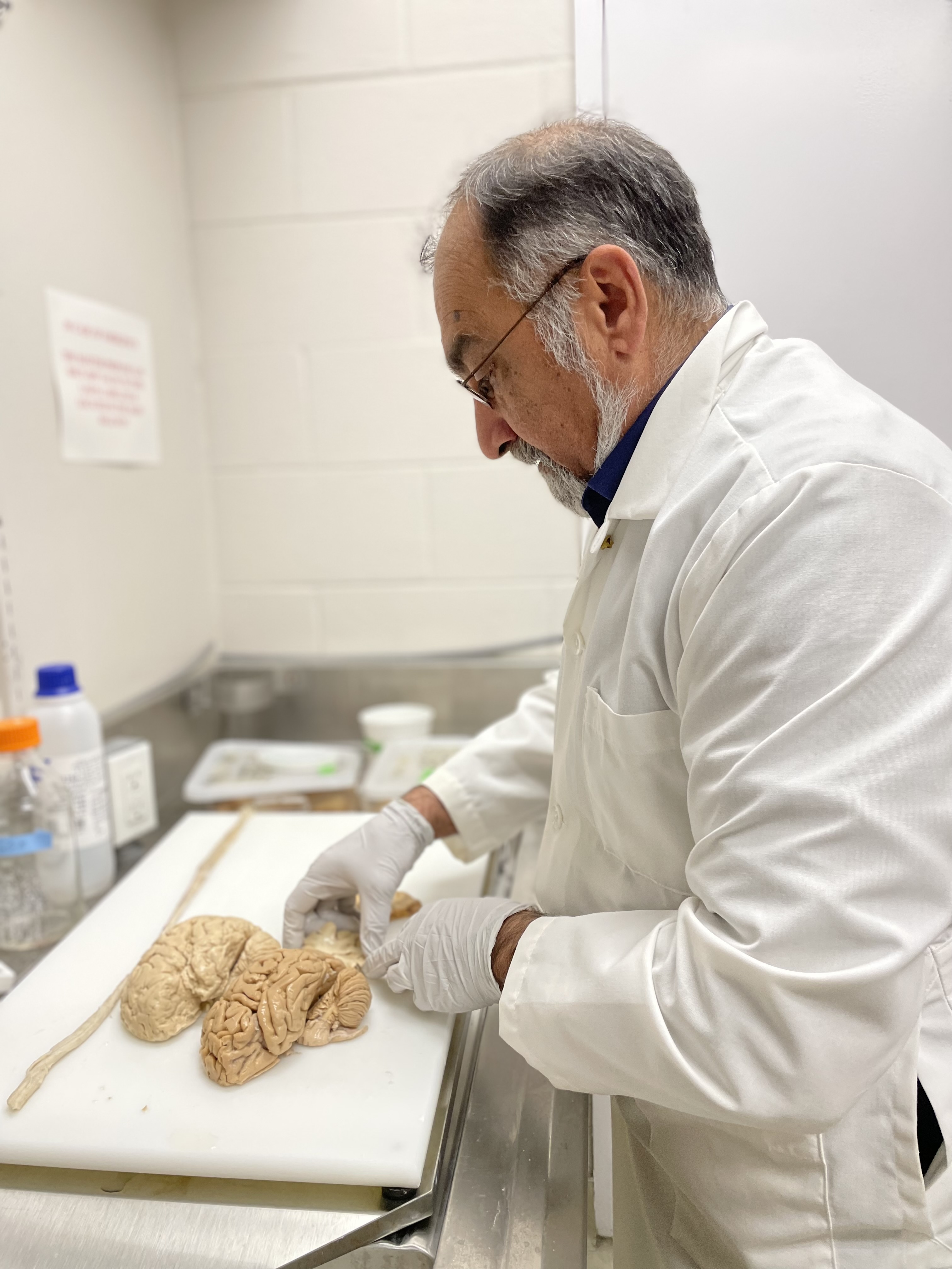 Dr. Sultan Darvesh looks at brain tissue samples at the Maritime Brain Tissue Bank. 