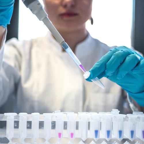A researcher puts liquid in a vile. 